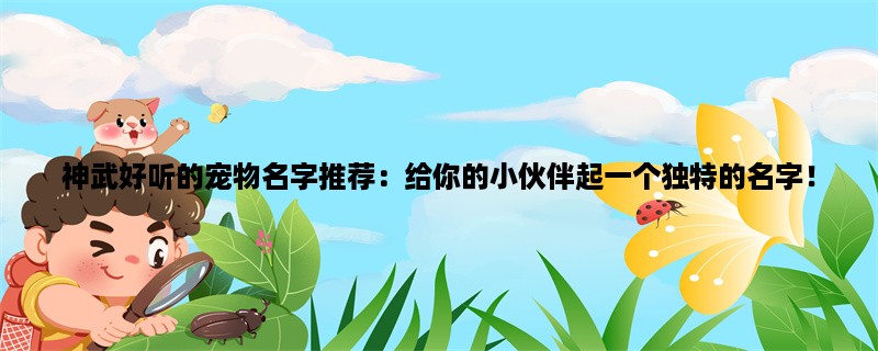 神武好听的宠物名字推荐：给你的小伙伴起一个独特的名字！