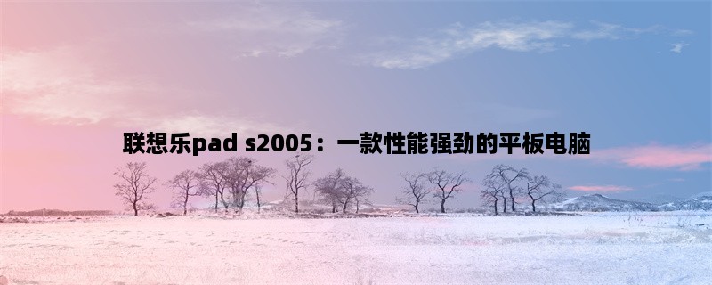 联想乐pad s2005：一款性能强劲的平板电脑