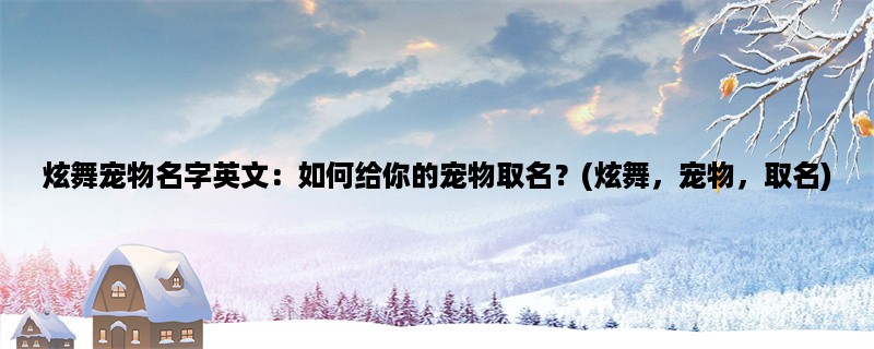 炫舞宠物名字英文：如何给你的宠物取名？(炫舞，宠物，取名)