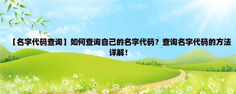 【名字代码查询】如何查询自己的名字代码？查询名字代码的方法详解！