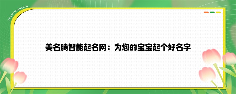 美名腾智能起名网：为您的宝宝起个好名字