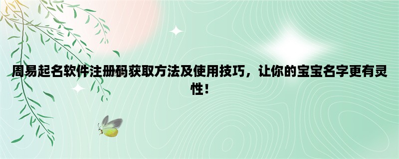 周易起名软件注册码获取方法及使用技巧，让你的宝宝名字更有灵性！