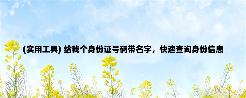 (实用工具) 给我个身份证号码带名字，快速查询身份信息