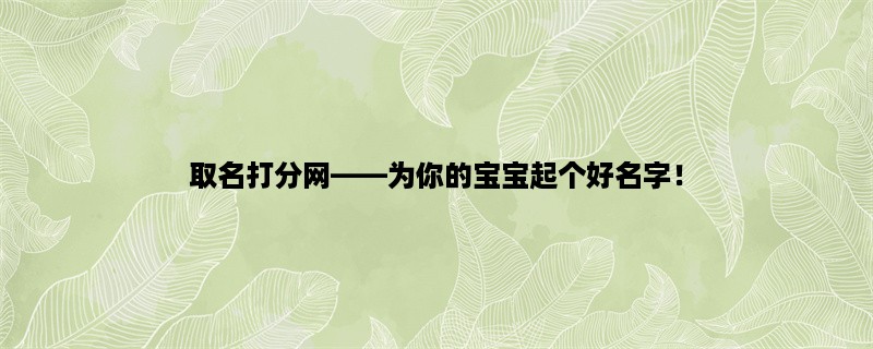 取名打分网，为你的宝宝起个好名字！