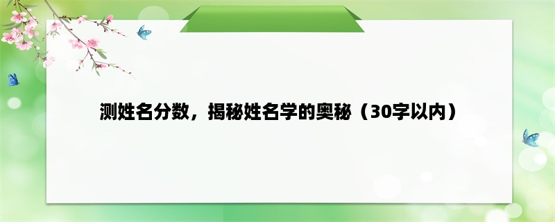 测姓名分数，揭秘姓名学的奥秘