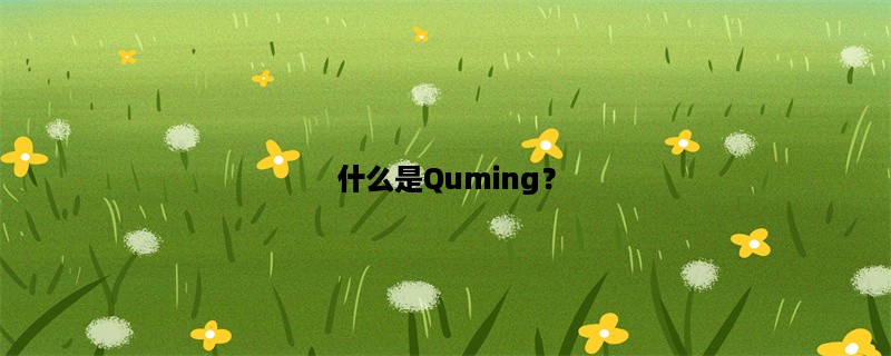 什么是Quming？