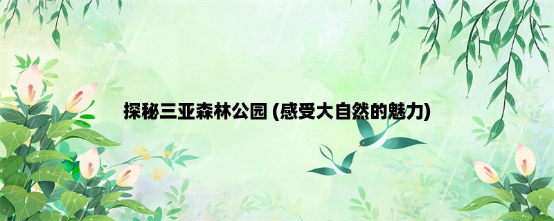 探秘三亚森林公园 (感受大自然的魅力)