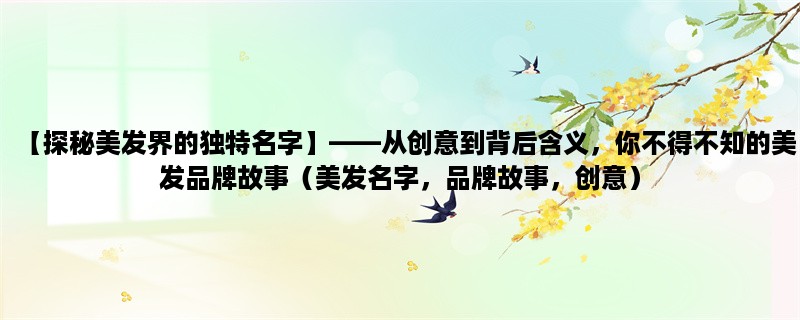 【探秘美发界的独特名字】，从创意到背后含义，你不得不知的美发品牌故事（美发名字，品牌故事，创意）