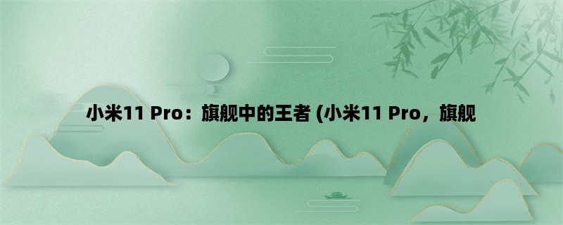 小米11 Pro：旗舰中的王者 (小米11 Pro，旗舰，王者)