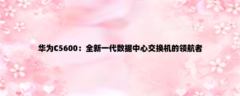 华为C5600：全新一代数据中心交换机的领航者