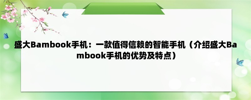 盛大Bambook手机：一款值得