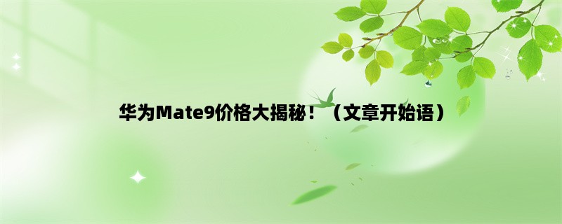 华为Mate9价格大揭秘！