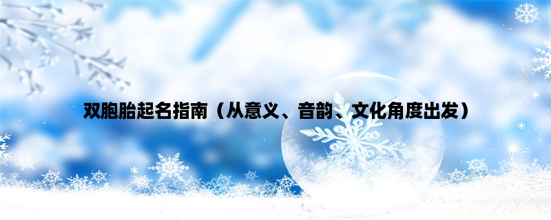 双胞胎起名指南（从意义、音韵、文化角度出发）