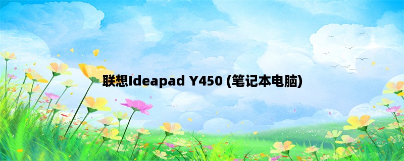 联想Ideapad Y450 (笔记本电