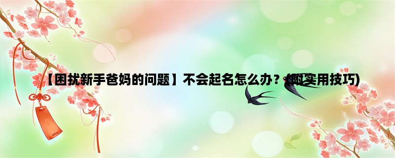 【困扰新手爸妈的问题】不会起名怎么办？(附实用技巧)