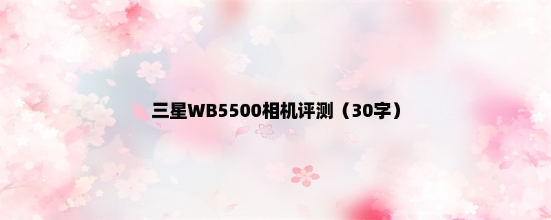 三星WB5500相机评测