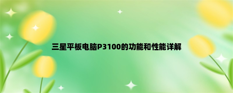 三星平板电脑P3100的功能和性能详解