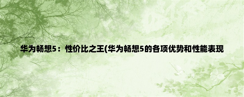 华为畅想5：性价比之王(华为畅想5的各项优势和性能表现，以及价格对比)