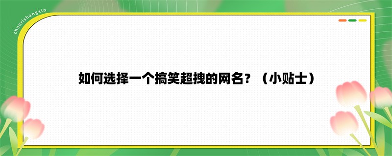 如何选择一个搞笑超拽的网名？（小贴士）