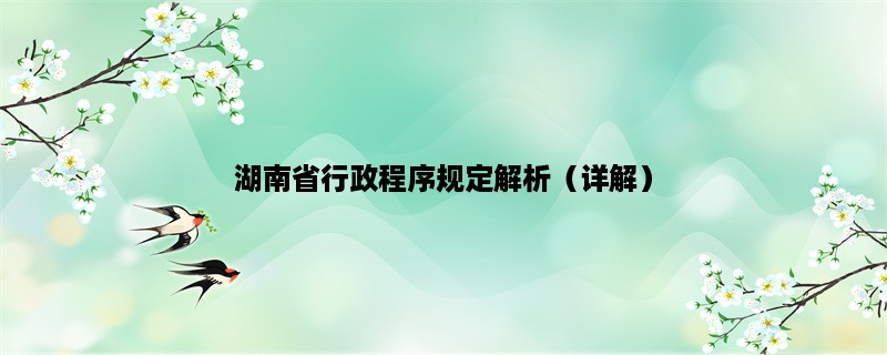 湖南省行政程序规定解析